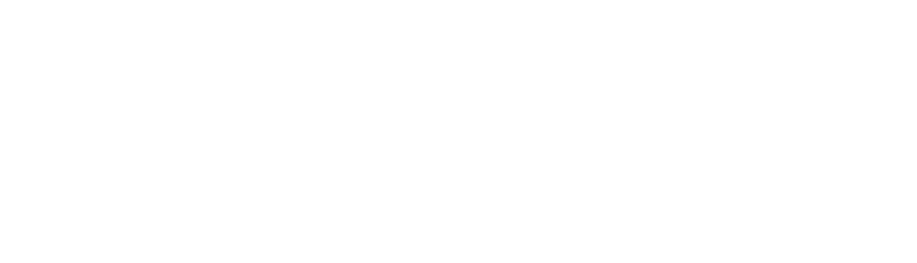 Carretillas Eléctricas 24h